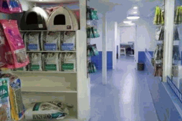 我爱我爱宠物医院